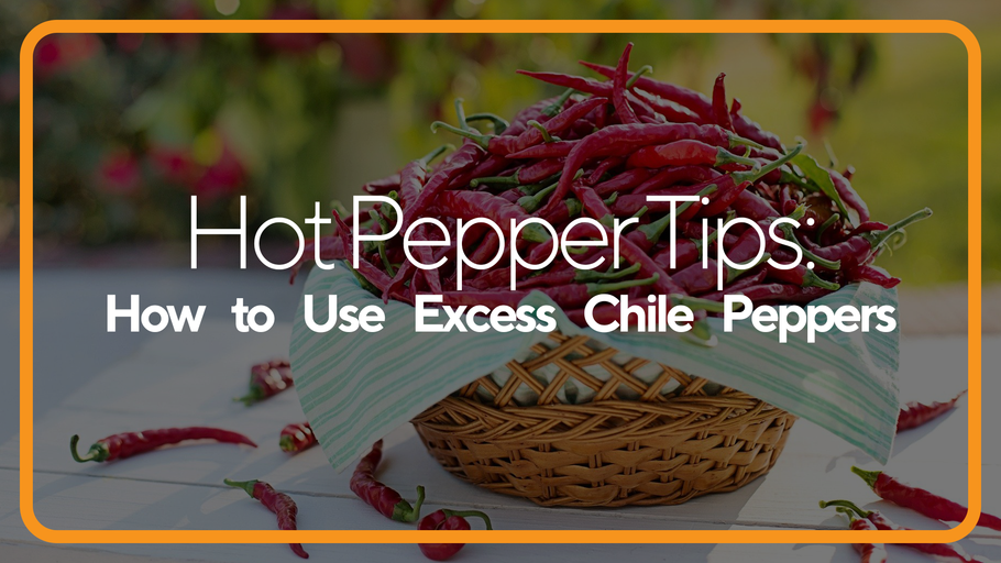Top 5 Ways To Use Chile Peppers