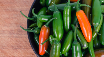A Spicy Guide to Jalapeños Peppers + How to Grow Them