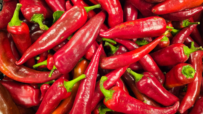Box of Fresh Pueblo Chile